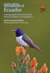 Wildlife Of Ecuador - A Photographic Field Guide To Birds Mammals Reptiles And Amphibians Paperback