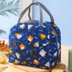 Reusable Waterproof Insulated Lunch Bag CL2