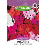 Kirchhoff’s Picture Packet Flower Seeds Impatiens Super Dwarf Mix