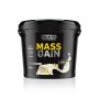 Mass Gain 4KG - Vanilla