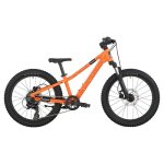 Roxter 200 2026