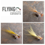 Premium Red Eye Damsels