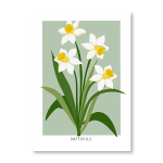 Daffodils Art Print - A2