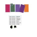 Lizzard Week-to-view Slimline Diary Purple 2026