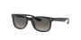 Junior New Wayfarer RJ9052S 100/11 48 Sunglasses