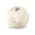 Evans Calftone TT08C7 Drumhead : 8