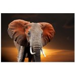 Elephant On Sunset In National Park Of Kenya Art Photography Print On Canvas 1800 X 1100