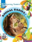 Animal Babies Hardcover