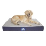 Sealy Defender Water Resistant Orthopaedic Dog Bed - X Large Navy