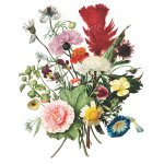 Flower Bunch White Art Print