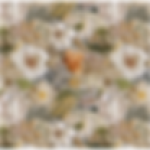 Printed Runner Embroidery White Floral