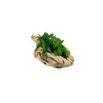 Artificial Succulent In Wooden Base 8X6.5CM