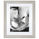 Flower Close-up 1 Art Photography Framed Print 1085 X 935