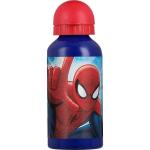 Alum Bottle 1 Ea