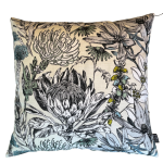 Kirstenbosch Blue Scatter Cover