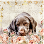 FSC2387 Printed Panel Weimaraner