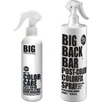 Big Professional Color Care Post-color Bond Building Colorfix Spray