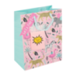 Pink Gift Bag