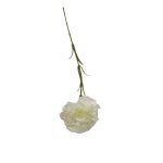 Carnation On Stem 63CM - White