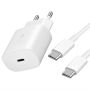 Charger Plus Cable Bundle-type-c To Type-c- 25W Charger -rich Boss Cable