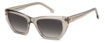 Carrera Womens Sunglasses In Transparent Grey - Transparent Grey One Size