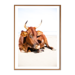 Nguni Chestnut I Art Print - A4