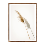 Pampas Grass II Art Print - A4