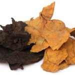 Turkish Tobacco Concentrate - 50ML