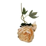 Peony 2 Head 52CM - Cream