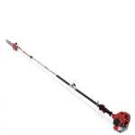P230S Pole Pruner With 10" 25CM Bar