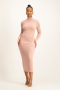 Avert Avery Poloneck Dress - Blush - S