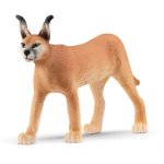 Wildlife - Caracal Female