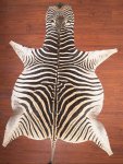 Aa Grade Zebra Hide 034 L