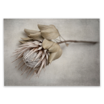 Everlasting 6 Art Print - A4 No Frame Print Only