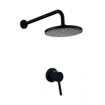 - Shower Head And Fine Mixer Blackened Brass