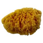 Pro-art Coarse Sponge 5 Inch