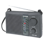 Telefunken 4 Band Radio- TR/100