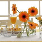 24 Piece 340ML Resital Wine Glass