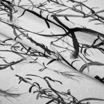Botany White Fabric Per Meter