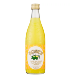 Monix Monin Elderflower Mixer 1LT