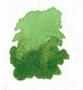 Dr. Ph. Martin& 39 S Hydrus Liquid Watercolour - Sap Green 15ML