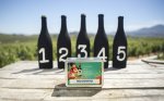 Wine Tasting Sleeves