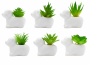 - Assorted Artificial Succulent Plant With Dog Shaped Pot -12 Pack