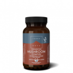 Mushroom Complex Fermented 50S
