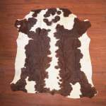 Aa Grade Nguni Hide 839 Brown white M - Large Brown white Panelled