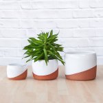 Daxi Planter - Terracotta - 16CM