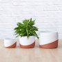 Daxi Planter - Terracotta - 16CM