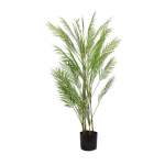 Palm Tree - 1 5M