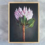 King On Gray 1 Art Print - A0 Framed Canvas With Natural Wood Frame