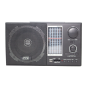 Gogo Fts Fm/mw/sw Portable Radio FTS-TS65 FM/MW/SW1-9 11